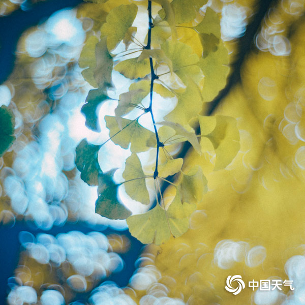 金秋美景大觉寺