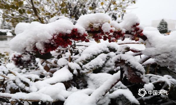 新疆和田迎初雪 为农牧业和交通带来不利影响