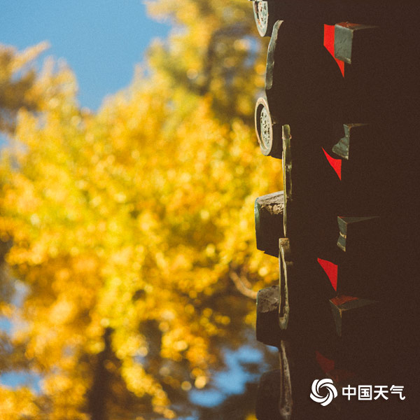 金秋美景大觉寺