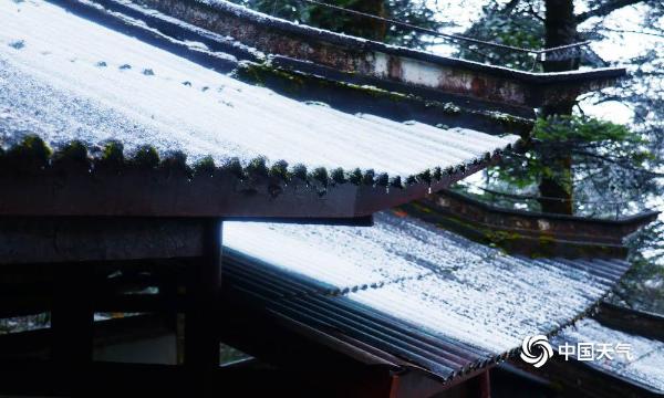 四川峨眉山雾凇晶莹剔透 美如仙境