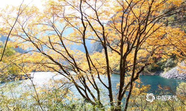 四川阿坝：秋天的童话松坪沟