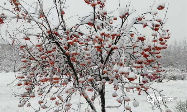 雪城牡丹江迎今冬首场大雪 降水量突破57年来极值