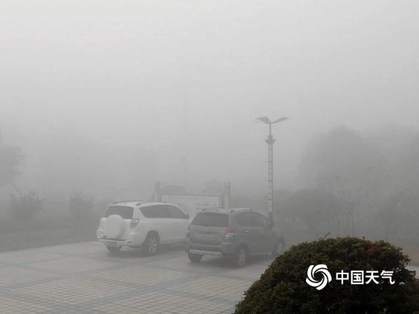 安徽淮北今晨出现特强浓雾 最低能见度不足50米