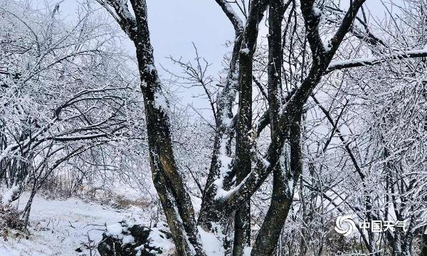 立冬至 重庆巫溪迎下半年首场降雪
