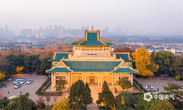 俯瞰武汉大学：层林尽染 秋色迷人