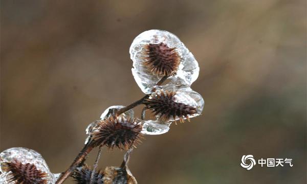 福建三明建宁现雨凇景观美如画