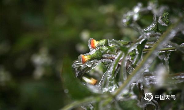 福建三明建宁现雨凇景观美如画