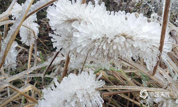 贵州福泉：高山上的“雪树银花”
