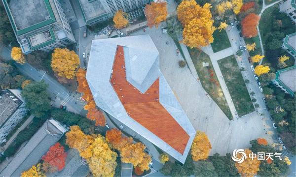 俯瞰武汉大学：层林尽染 秋色迷人