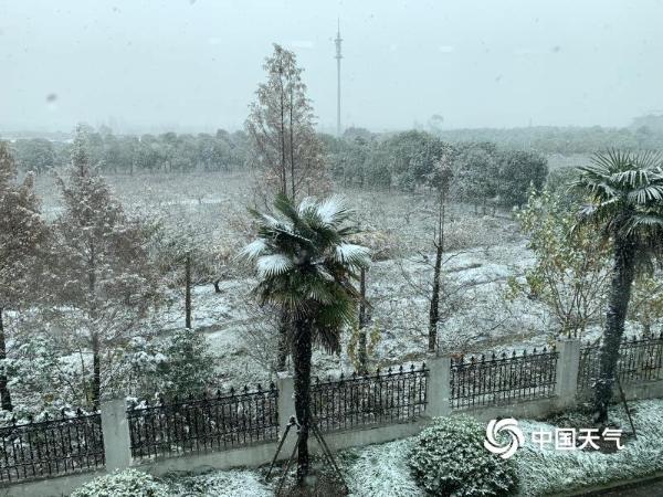 上海漫天飞雪