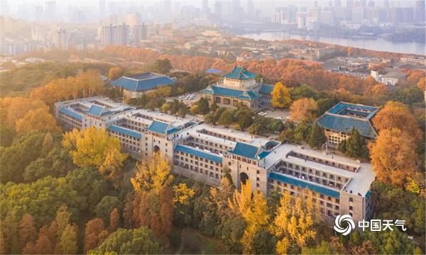 俯瞰武汉大学：层林尽染 秋色迷人