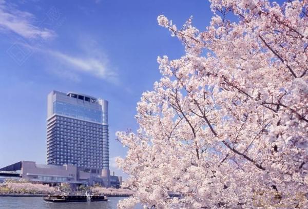 大阪住宿攻略，大阪住哪里最方面