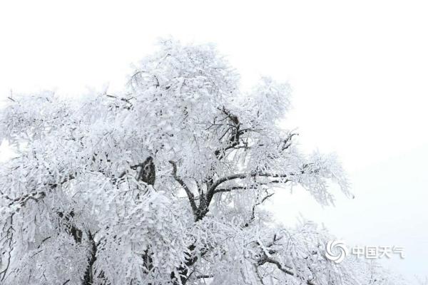 湖南双牌阳明山现雪凇美景