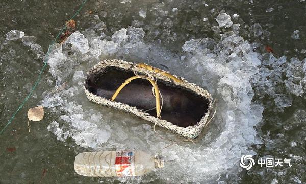 凿冰眼捕鱼：松花江上的别样风景-图片频道-中国天气网