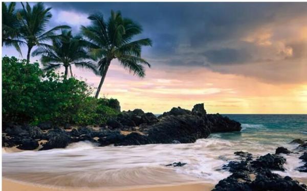 2019夏威夷旅游攻略,吃喝住行攻略都在这里