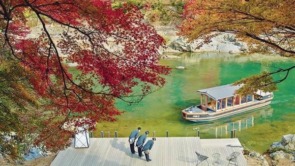 日本樱花季住宿多少钱？日本樱花季住宿推荐