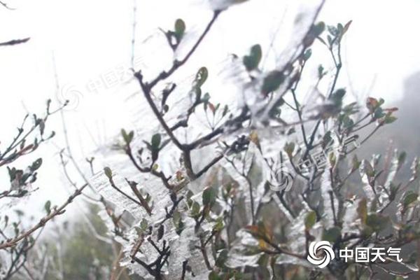 长江中下游地区雪转雨 气温或再创新低