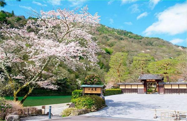 日本樱花季住宿多少钱？日本樱花季住宿推荐
