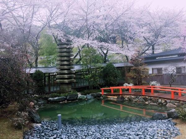 大阪住宿攻略，大阪住哪里最方面