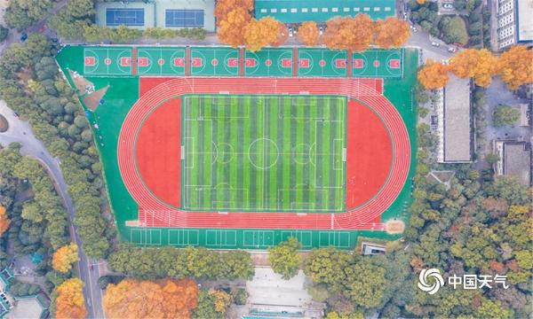 俯瞰武汉大学：层林尽染 秋色迷人