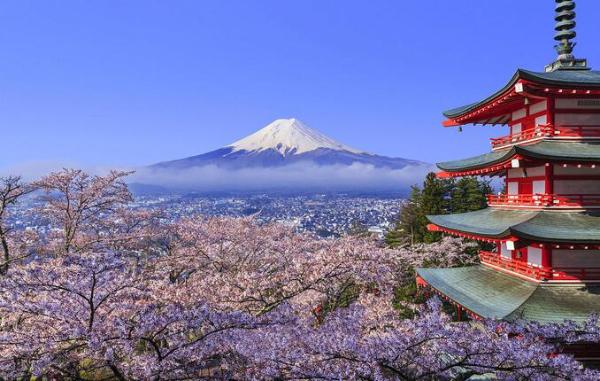 日本樱花季住宿多少钱？日本樱花季住宿推荐