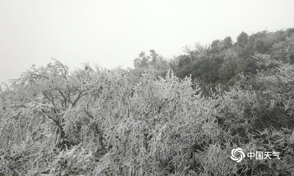 广西全州天湖现大面积雾凇美景