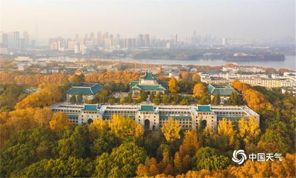 俯瞰武汉大学：层林尽染 秋色迷人