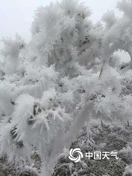 重庆石柱迎降雪 部分乡镇出现道路结冰