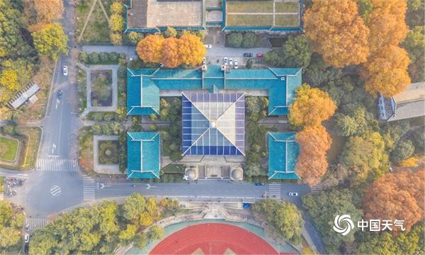 俯瞰武汉大学：层林尽染 秋色迷人