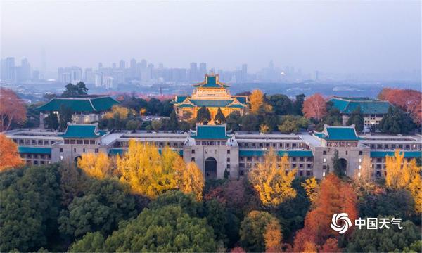 俯瞰武汉大学：层林尽染 秋色迷人