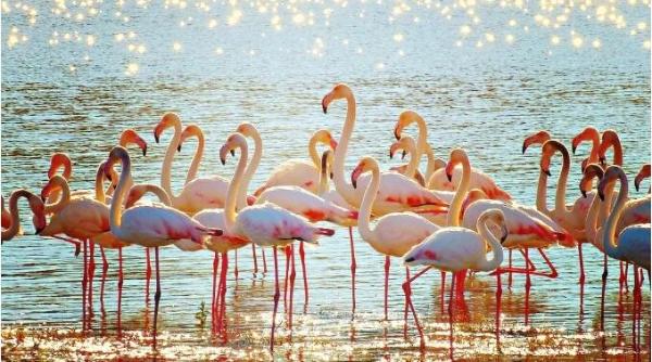 墨西哥坎昆有什么好玩的？坎昆旅游攻略