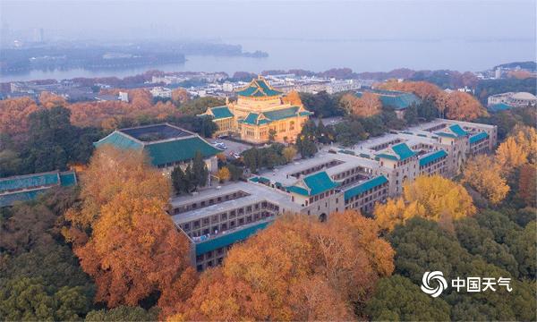 俯瞰武汉大学：层林尽染 秋色迷人