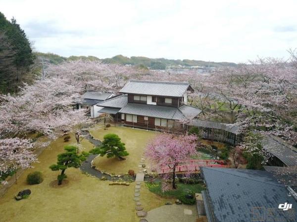 日本樱花季住宿多少钱？日本樱花季住宿推荐