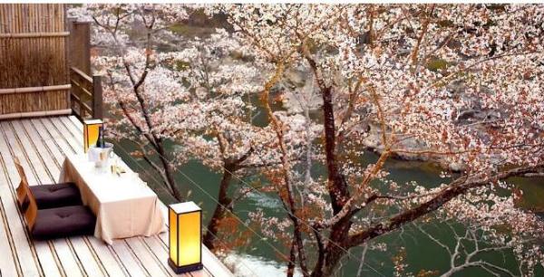 日本樱花季机票贵吗？日本樱花季酒店机票提前订