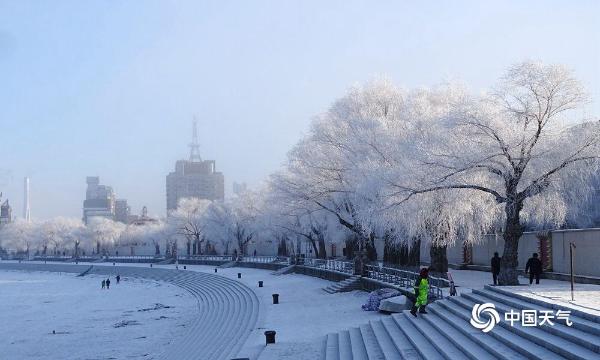 哈尔滨松花江畔新年首迎雾凇景观