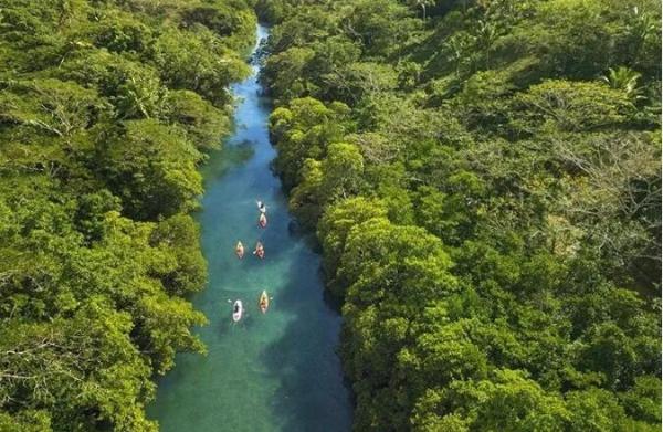 斐济值得去吗？斐济自由行攻略