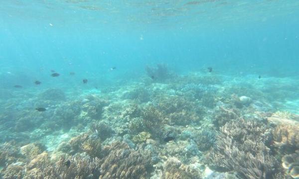 龙目岛粉色沙滩攻略，俘获你的少女心