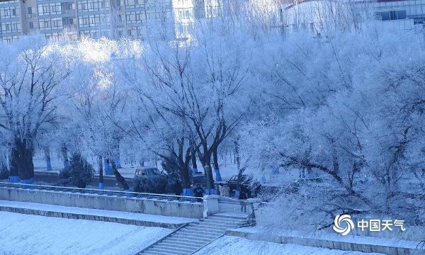 哈尔滨松花江畔新年首迎雾凇景观