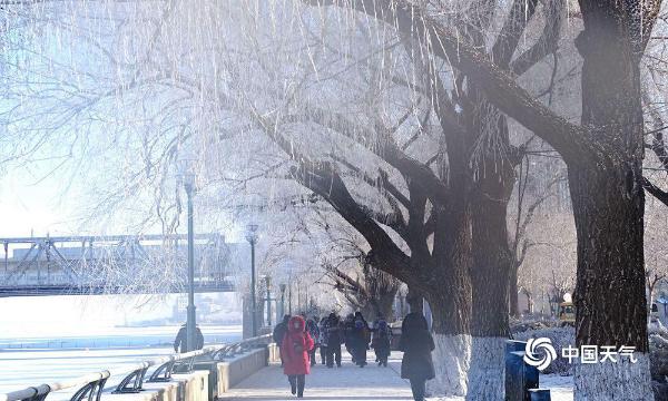 哈尔滨松花江畔新年首迎雾凇景观