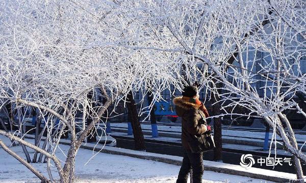 哈尔滨松花江畔新年首迎雾凇景观
