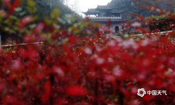 重庆南天竹红峡谷美景
