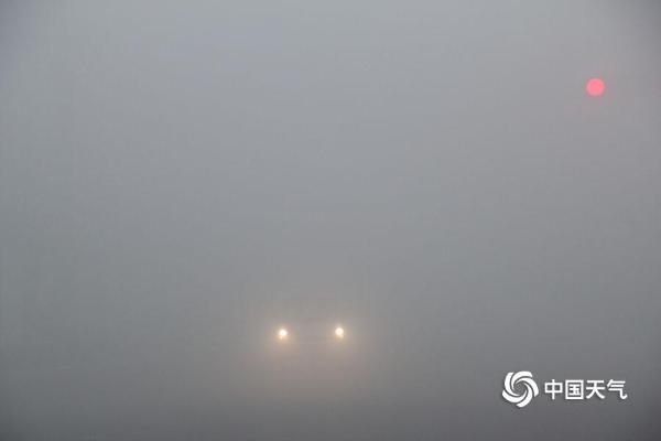 山东威海浓雾持续“肆虐” 眼前一片白茫茫