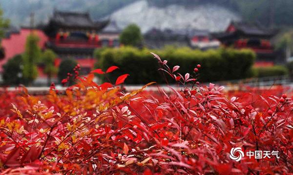 重庆南天竹红峡谷美景