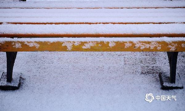 哈尔滨喜迎今年首场降雪 银装素裹美不胜收