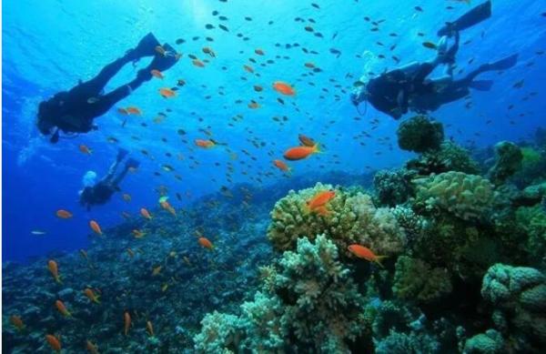 斐济值得去吗？斐济自由行攻略