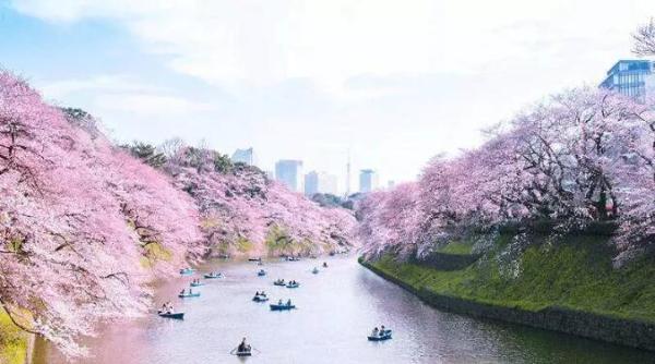 日本旅游哪个季节最好？日本适合旅行的季节