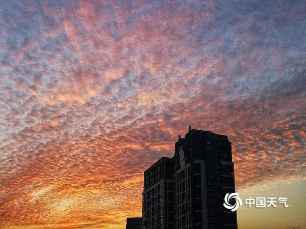 福州迎来新年首个晴天 绝美晚霞惊艳整片天空