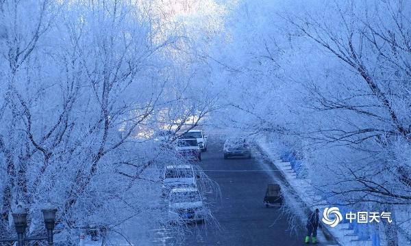哈尔滨松花江畔新年首迎雾凇景观