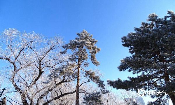 哈尔滨松花江畔新年首迎雾凇景观