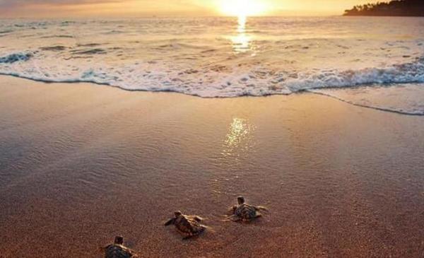 龙目岛粉色沙滩攻略，俘获你的少女心